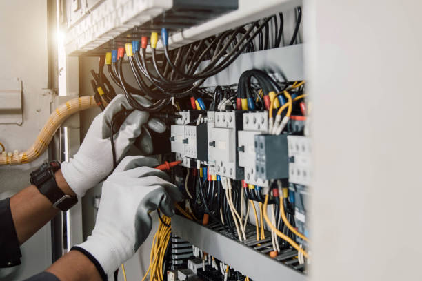 Best Electric Panel Repair  in Atwater, MN